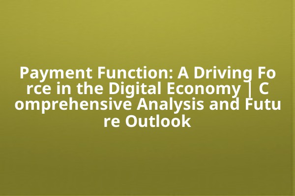 Payment Function: A Driving Force in the Digital Economy | Comprehensive Analysis and Future Outlook