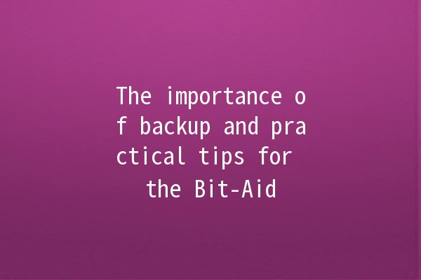 The importance of backup and practical tips for the Bit-Aid