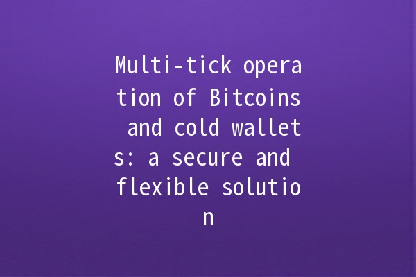 Multi-tick operation of Bitcoins and cold wallets: a secure and flexible solution