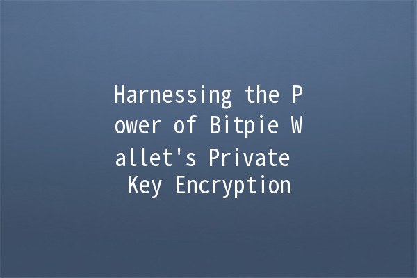 Harnessing the Power of Bitpie Wallet's Private Key Encryption 🔒💰